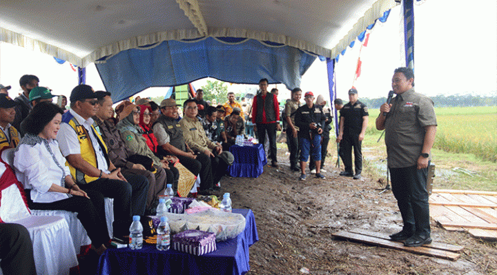 Wagub Kalteng saat menghadiri panen padi nusantara di Desa Tahai Jaya kecamatan Maliku Pulang Pisau.