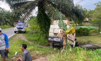 Pikap pembawa ikan trrlibat kecelakaan di Jalan HM Arsyad Kilometer 12 Kamis 13 Maret 2023
