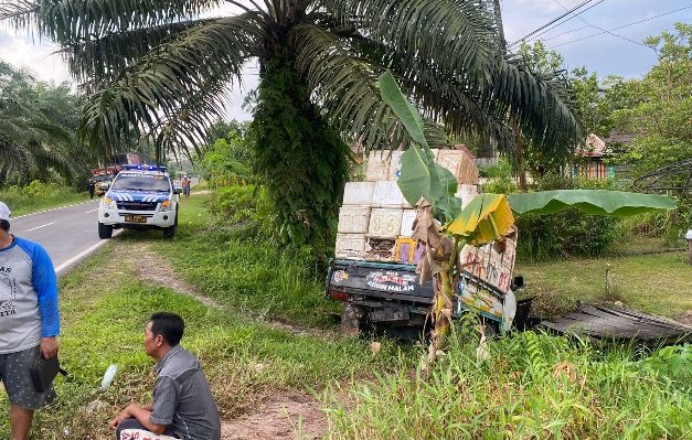 Pikap pembawa ikan trrlibat kecelakaan di Jalan HM Arsyad Kilometer 12 Kamis 13 Maret 2023
