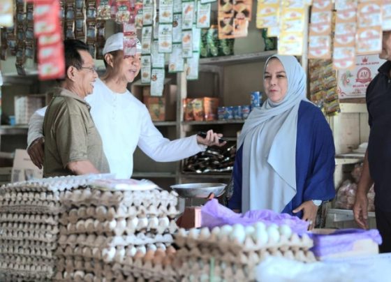 Wakil Ketua DPRD Kalteng Faridawaty Darland Atjeh berkunjung ke pasar tradisional di Tewah Kabupaten Gunung Mas