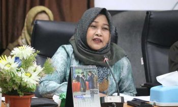 Wakil Ketua Komisi C DPRD Seruyan Masfuatun