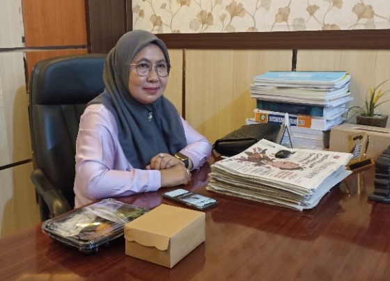 Anggota Komisi II DPRD Kotim, Darmawati