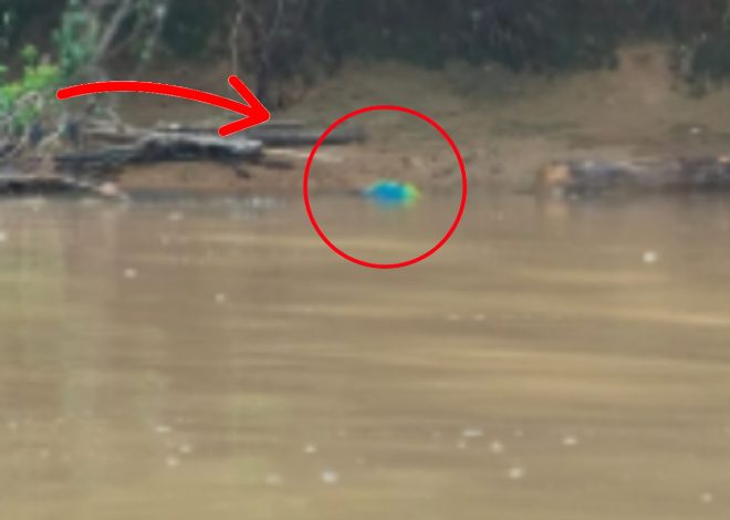 Warga Jalan Langsat Terjatuh dari Jembatan Sei Katingan Ditemukan Meninggal Dunia