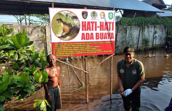 BKSDA Kembali Pasang Jerat di Lokasi Kemunculan Buaya Sungai Mentawa