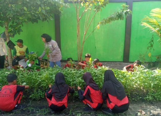 Kunjungan siswa SDN 4 Ketapang ke kebun tanaman obat Kelurahan Ketapang, Rabu, 31 Mei 2023.