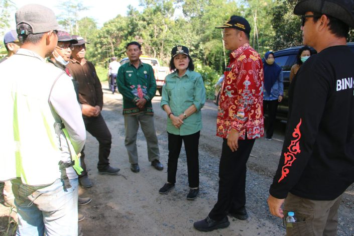 Taty Narang Cek Kondisi Jalan Kawasan Food Estate