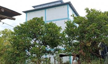 Salah satu gedung sarang burung walet di Kabupaten Kotawaringin Timur.