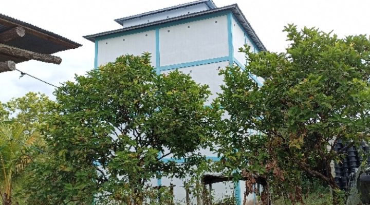 Salah satu gedung sarang burung walet di Kabupaten Kotawaringin Timur.