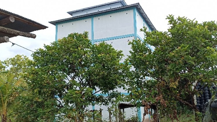 Optimalkan Pajak Daerah Bangunan Sarang Burung Walet di Kotim