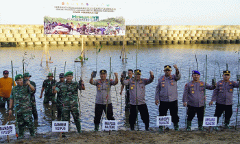 Wakapolda Kalteng, Danrem dan Dirpolairud Tanam 1000 Pohon Bakau di Pantai Ujung Pandaan