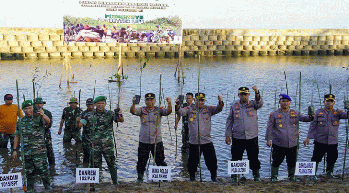 Wakapolda Kalteng, Danrem dan Dirpolairud Tanam 1000 Pohon Bakau di Pantai Ujung Pandaan