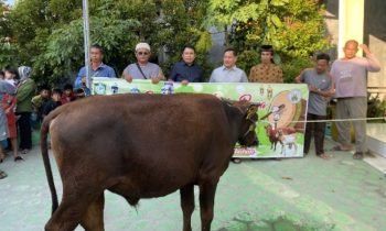 Bupati Kotim Halikinnor didampingi Sekda Kotim Fajrurahman saat berfoto bersama dengan panitia hewan kurban Kawasan Teluk Dalam, Selasa, 27 Juni 2023