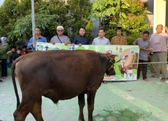 Bupati Kotim Halikinnor didampingi Sekda Kotim Fajrurahman saat berfoto bersama dengan panitia hewan kurban Kawasan Teluk Dalam, Selasa, 27 Juni 2023