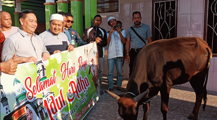 Bupati Kotim Halikinnor menyerahkan sapi kurban di Masjid Jami Assalam, Sampit, Selasa, 27 Juni 2023.