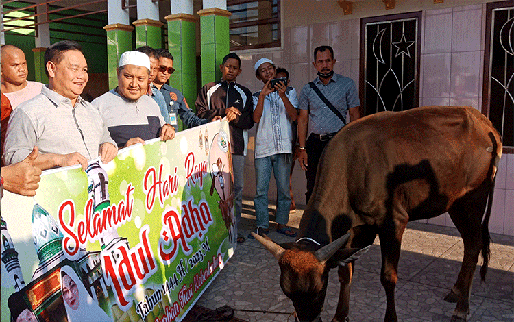 Pemkab Kotim Salurkan 120 Ekor Sapi Kurban