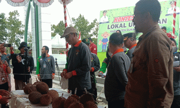 Bupati Sukamara Windu Subagyo menilai kontes durian lokal unggulan di kabupaten setempat, Kamis, 15 Juni 2023.