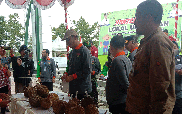 Ini Kontes Durian Lokal Unggulan Versi Pemkab Sukamara