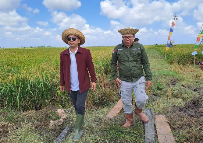 Jalan Menuju Kawasan Pertanian di Seruyan Perlu Terus Diperhatikan