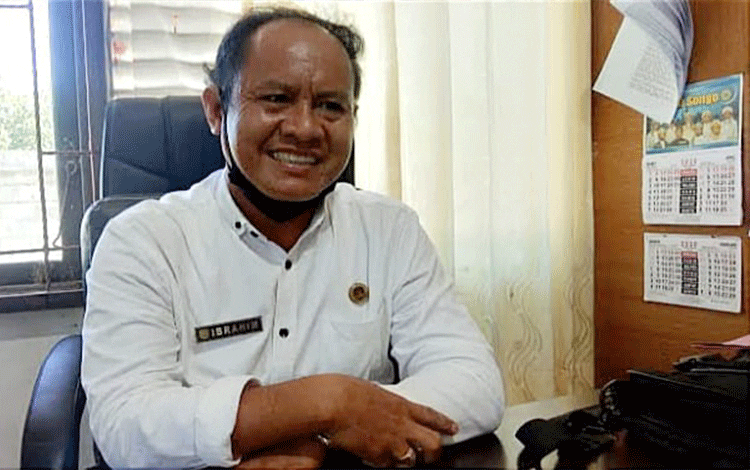 Jelang Idul Adha, Stok Hewan Kurban di Pulang Pisau Segini