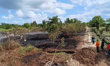 Lahan yang terbakar di Jalan Bumi Ayu Sampit, Rabu, 21 Juni 2023.