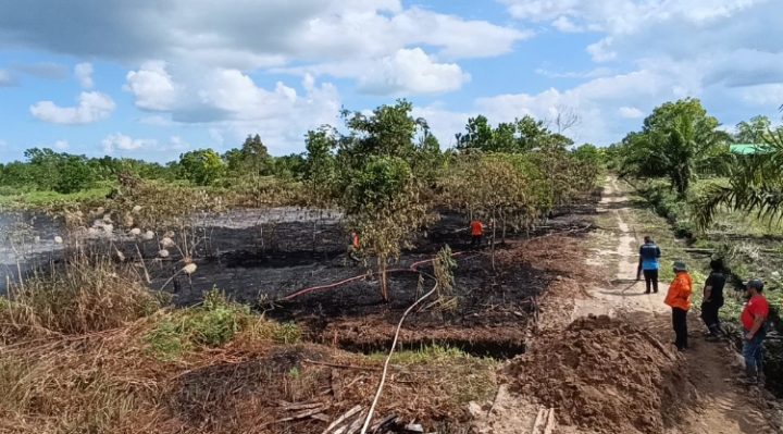 Lahan yang terbakar di Jalan Bumi Ayu Sampit, Rabu, 21 Juni 2023.