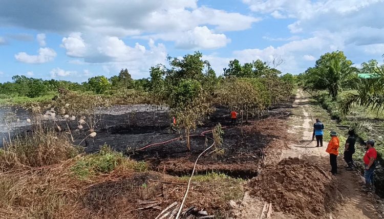 Kebakaran Lahan Melanda Bumi Ayu Sampit, Diduga Sengaja Dibakar