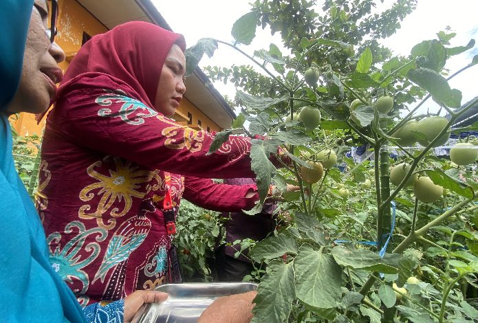 Kelurahan Ketapang Ikuti Lomba Kelurahan Regional Provinsi Kaleng