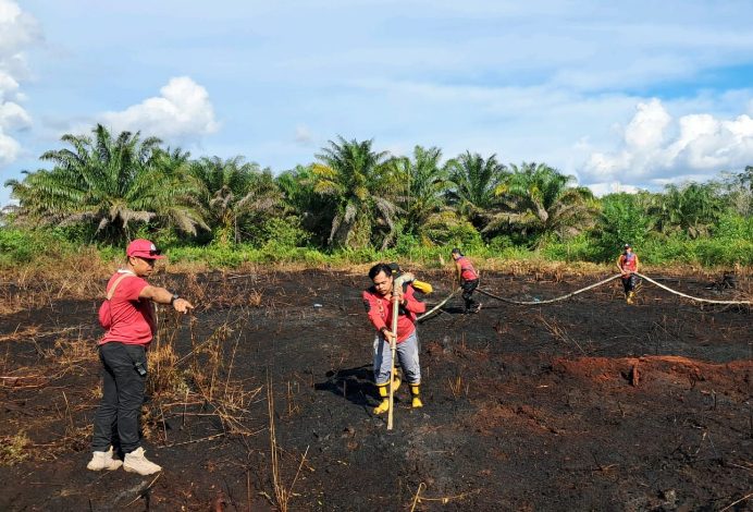 Kebakaran Lahan Terjadi di Jalan Lingkar Utara Sampit