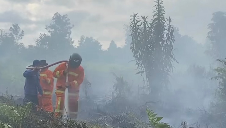 70 Persen Lahan di Kecamatan MB Ketapang Rawan Terbakar