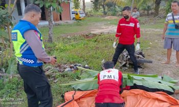 Petugas PMI Kotim saat mengevakuasi korban kecelakaan di Jalan Jenderal Sudirman Kilometer 35, Kotim, Selasa, 11 Juli 2023.