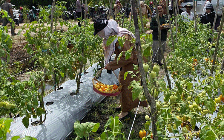Posisi Petani di Kotim Masih Lemah Secara Ekonomi dan Aspek Yuridis
