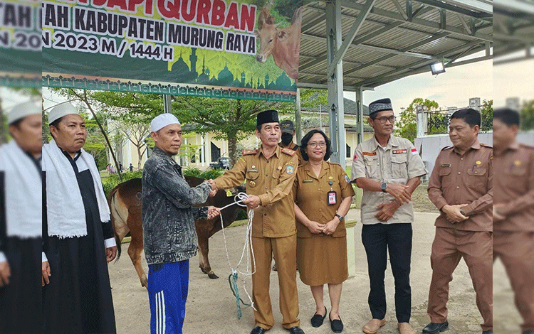 Pemkab Murung Raya Bantu Hewan Kurban untuk 10 Kecamatan