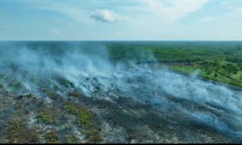 Kebakaran lahan di Baamang Hulu, Senin 14 Agustus 2023.