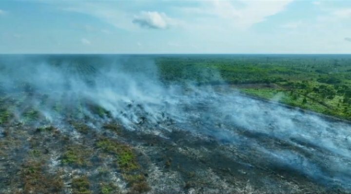 Kebakaran lahan di Baamang Hulu, Senin 14 Agustus 2023.