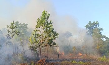 Kebakaran lahan yang terjadi di Kotim baru baru ini.
