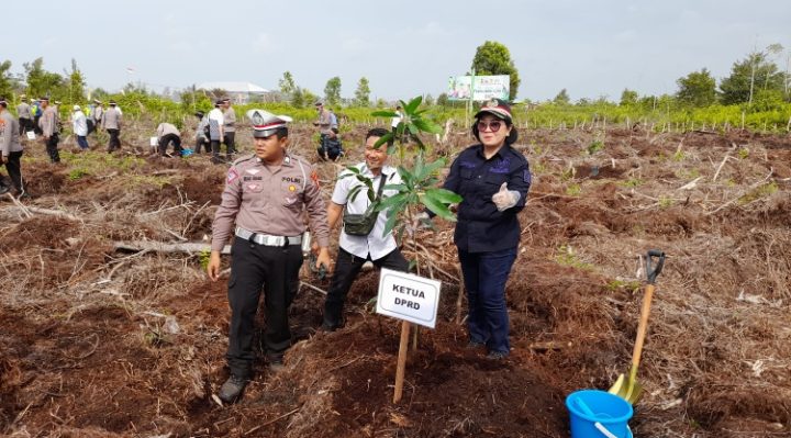 Ketua DPRD Kotim, Rinie Anderson baju hitam mengikuti kegiatan penanaman pohon, Rabu 23 Agustus 2023.