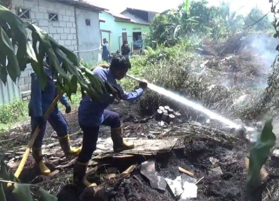 Petugas pemadam kebakaran tengah memadamkan api di sekitar kawasan Perumahan Wengga Metropolitan, Kelurahan Baamang Barat, Senin, 14 Agustus 2023.