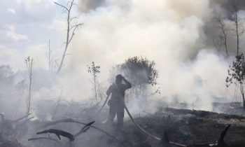 Petugas penanggulangan kebakaran lahan berada di tengah areal kebakaran lahan di Kotim.