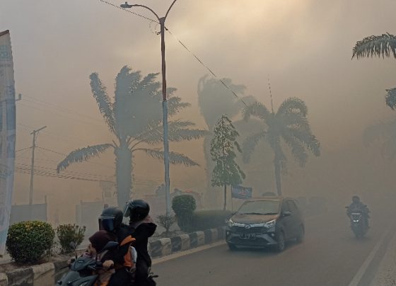 Asap tebal kebakaran lahan hebat di dekat Aquarius Boutique Hotel Sampit, Jalan Jenderal Sudirman KM 3, Sabtu 9 September 2023.