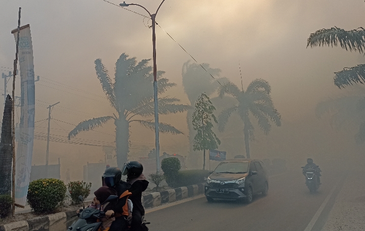 Kebakaran Lahan  Terjadi di Dekat Hotel Berbintang di Sampit 
