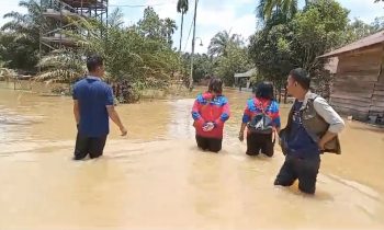 Banjir di Kecamatan Tualan, Kabupaten Kotawaringin Timur, mencapai paha orang dewasa, Kamis, 22 September 2023.