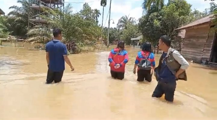 Banjir di Kecamatan Tualan, Kabupaten Kotawaringin Timur, mencapai paha orang dewasa, Kamis, 22 September 2023.
