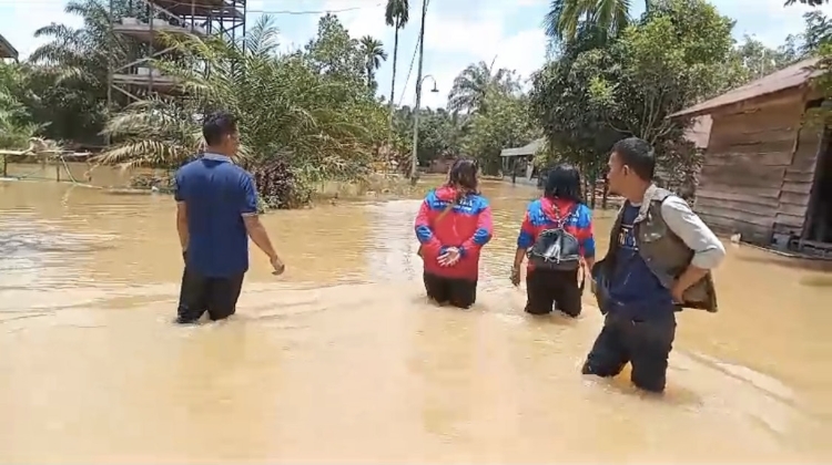 Banjir Melanda Kecamatan Tualan Hulu, Empat Desa Terendam