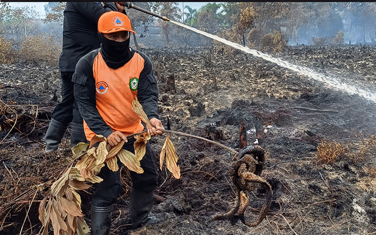 Binatang pun Jadi Korban Kebakaran Lahan