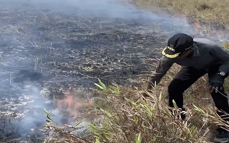 11 Ribu Hektare Lahan Terbakar di Teluk Sampit