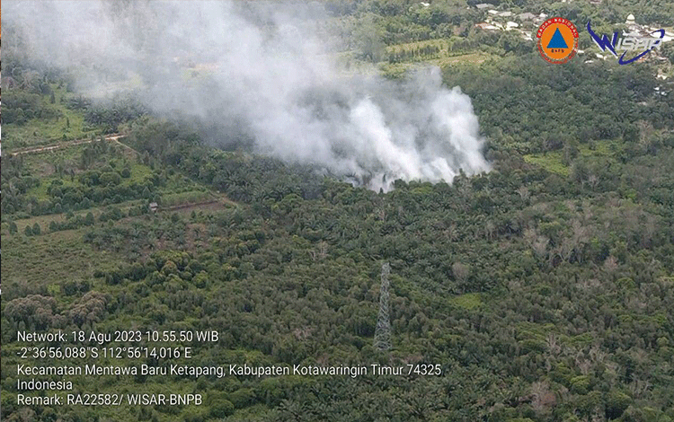 500 Hektare Lahan di Kotim Terbakar