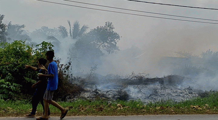 Kebakaran lahan di Jalan Kapten Mulyono Sampit, Selasa, 5 September 2023.