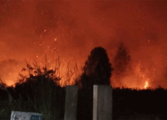 Kebakaran lahan di sekitar Perumahan Graha Pramuka Sampit, Sabtu malam, 23 September 2023.