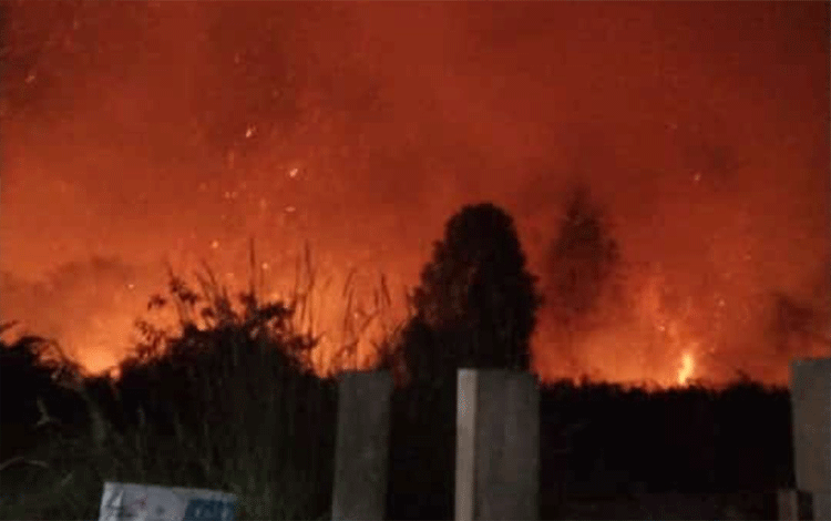 Lahan Dekat Perumahan Graha Pramuka Sampit kembali Terbakar