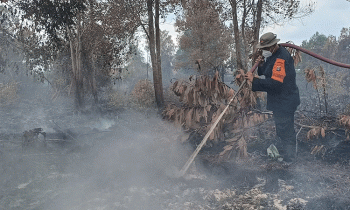 Petugas BPBD Kotim menggunakan racun api untuk pendinginan kebakaran lahan di Jalan Pramuka Sampit, Rabu, 6 September 2023.